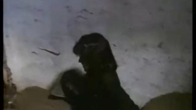 Porno kaydı Sıcak bedava pornalar izle ve azgın amatör çift seks