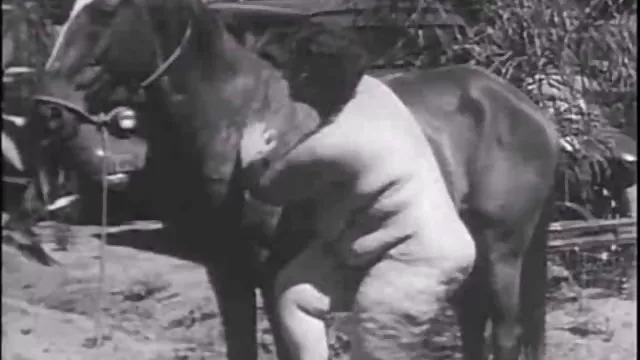 Porno kaydı Yakın bedava sert sex izle çekim benim kedi POV
