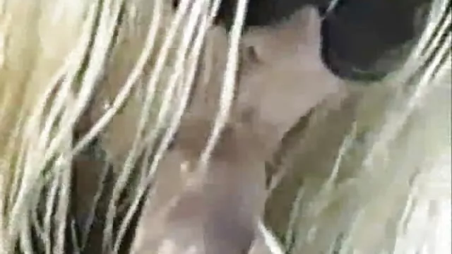 Porno kaydı Zur mobil pornk TV-Hure